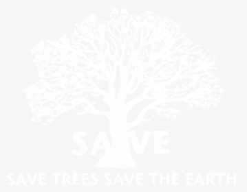 Tree, HD Png Download, Transparent PNG