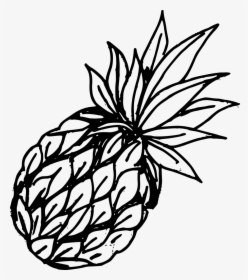 Stroke Drawing Fruit - Drawn Pineapple Png, Transparent Png, Transparent PNG