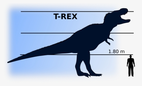 T-rex Vs Man Clip Arts - Dinosaur Compared To Man, HD Png Download, Transparent PNG