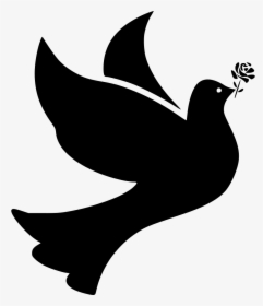 Bird Birds Dove Doves Flight Fly Flying Peace Rose - Transparent Dove Silhouette Png, Png Download, Transparent PNG