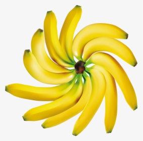 Bananas Decoration Png Clipart - Clipart Fruits Fond Transparent, Png Download, Transparent PNG