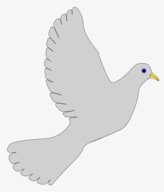 Peace Dove-grey - Pigeons And Doves, HD Png Download, Transparent PNG