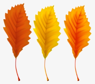 Transparent Falling Leaves Clipart Png, Png Download, Transparent PNG