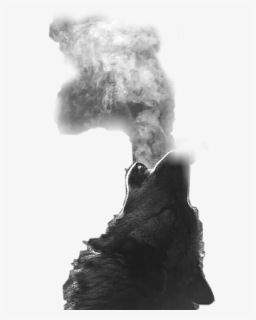 Not My Photo But I Thought It Was Cool - Fond D Ecran Loup, HD Png Download, Transparent PNG