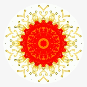 Visual Arts,flower,symmetry - 10 Rs Price Tag, HD Png Download, Transparent PNG