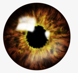 Brown Eye Png File - Eye Lens Png, Transparent Png, Transparent PNG