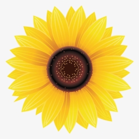 Sunflower Png Image Free Download Searchpng - Sunflower Hydro Flask Sticker, Transparent Png, Transparent PNG
