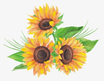 Sunflowers Png Dead - Sunflower, Transparent Png, Transparent PNG