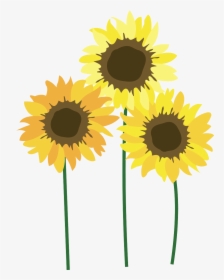 Sunflower Png Image Download - Transparent Sunflower Field Clipart, Png Download, Transparent PNG