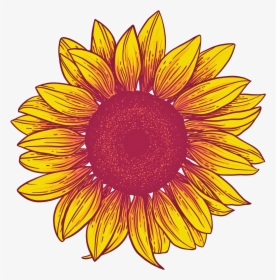 Sunflower Png Background - Transparent Background Sunflower Png, Png Download, Transparent PNG