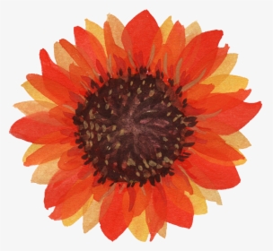 Sunflower Png, Transparent Png, Transparent PNG