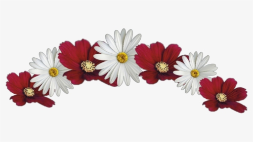 Transparent White And Red Flower Crown, HD Png Download, Transparent PNG