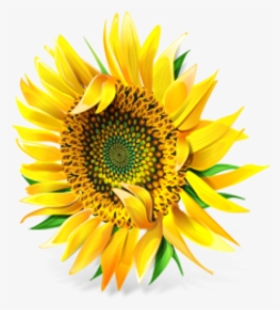 Sunflower Png Free Download - Pixel Sunflower, Transparent Png, Transparent PNG