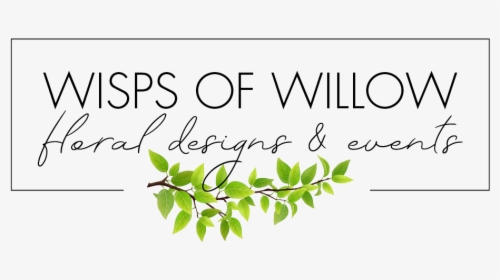 Wisps Of Willow - Calligraphy, HD Png Download, Transparent PNG