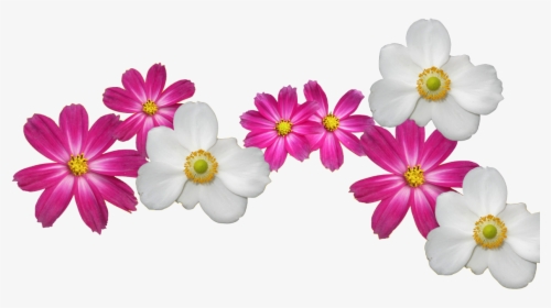 Transparent Flower Crown Png - Flower Wallpaper Images Png, Png Download, Transparent PNG
