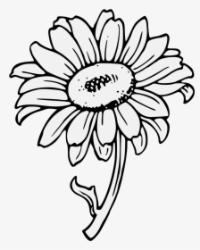 Sunflower Clipart Transparent Background , Png Download - Clip Art Of Yellow Sunflower, Png Download, Transparent PNG