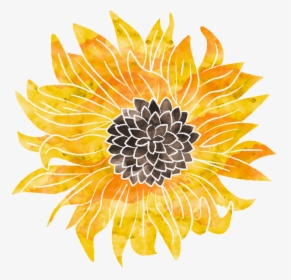 Welcome To Wedig Wellness - Sunflower, HD Png Download, Transparent PNG