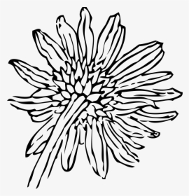 Back Of A Sunflower Clip Arts - Simple Flower Line Art Png, Transparent Png, Transparent PNG
