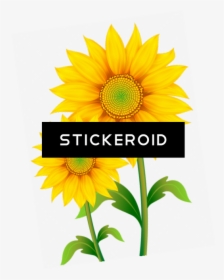 Transparent Background Sunflower Png , Png Download - Nice Yellow Flower Background, Png Download, Transparent PNG