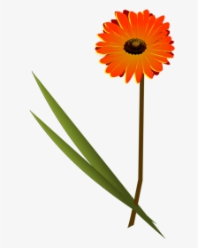 Plant,flower,sunflower - Gerbera Flower Free Vector, HD Png Download, Transparent PNG