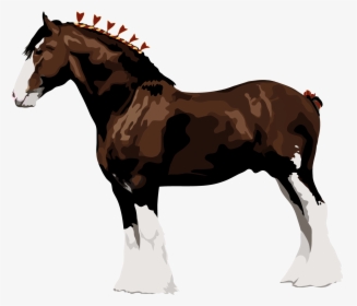 Horse Leg Png - Raça De Cavalo Clydesdale, Transparent Png, Transparent PNG