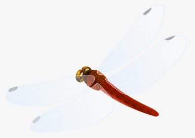 Red Dragonfly Png Clipart - Hunting Knife, Transparent Png, Transparent PNG