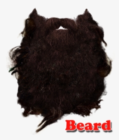 Beard Png - Make Mr Twit Beard, Transparent Png, Transparent PNG