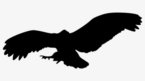 Eagle Flying Png -eagle Bird Animal Flying Png Image - Owl Flying Silhouette Png, Transparent Png, Transparent PNG