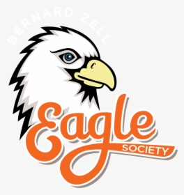 Meet Our Incredible Alumni - Bald Eagle, HD Png Download, Transparent PNG