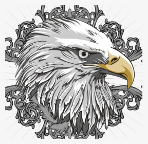 Eagle Head Logo, HD Png Download, Transparent PNG