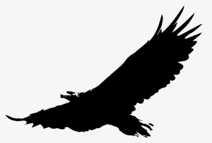Bald Eagle Download Clip Art - Eagle Bird Png Vector, Transparent Png, Transparent PNG