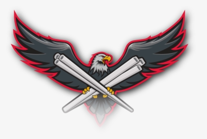 Transparent American Eagle Png - Bald Eagle, Png Download, Transparent PNG