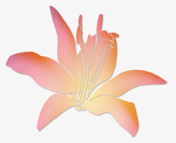 Transparent Pink Flowers Png - Lily, Png Download, Transparent PNG