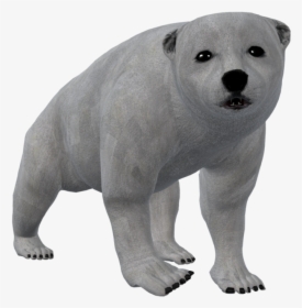 Transparent Polar Bear Png - Otter, Png Download, Transparent PNG