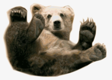Grizzly Bear Png - Transparent Grizzly Bear, Png Download, Transparent PNG