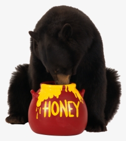Download For Free Bear Icon, HD Png Download, Transparent PNG