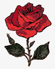 Rose Vines Png - Coat Of Arms Rose, Transparent Png, Transparent PNG