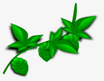 Jungle Vine Png - Plant Clip Art, Transparent Png, Transparent PNG