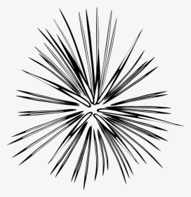 Transparent Fireworks Clipart Black And White, HD Png Download, Transparent PNG