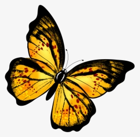Png Of A Yellow Butterfly - Yellow Butterfly Png, Transparent Png, Transparent PNG