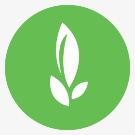 Emblem, HD Png Download, Transparent PNG