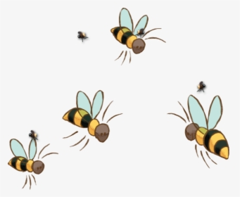 Bee Image Png - Honey Bee Flying Cartoon, Transparent Png, Transparent PNG