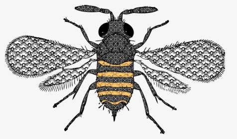 Very Detailed Bee Clip Arts - Lumbar Bee Pillow, HD Png Download, Transparent PNG