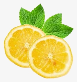 Mint And Lemon Png, Transparent Png, Transparent PNG