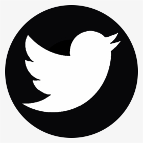 Twitter Png Logo Twitter Round Icon White Transparent Png Transparent Png Image Pngitem