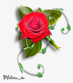 Element Rose With Leaves And Swirl Png By Melissa-tm - Roses Element Png, Transparent Png, Transparent PNG