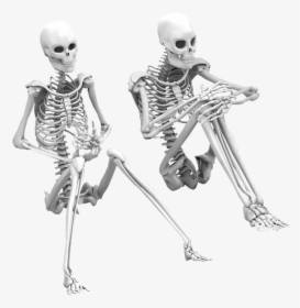 Transparent Skeletons Png - Skeleton Word Transparent Background, Png Download, Transparent PNG