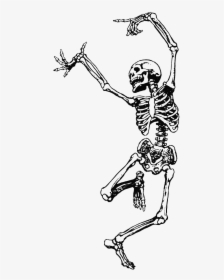 Dance Skeleton Human Skull Png File Hd Clipart - Skeleton With Flower ...