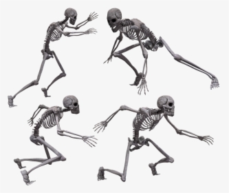 Running Skeleton Png - Skeleton Crawling, Transparent Png, Transparent PNG