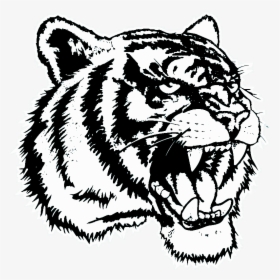 Transparent Tiger Png - Dre The Detox Chroniclez Vol, Png Download, Transparent PNG